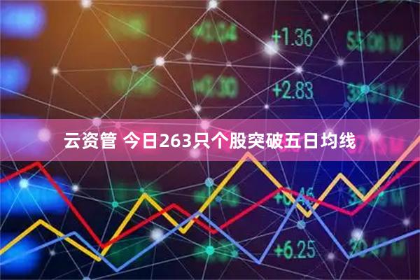 云资管 今日263只个股突破五日均线